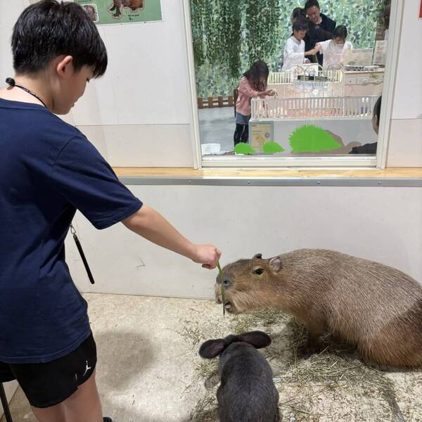 ワオキツネザルと触れ合える！？【アニタッチお台場】でいろんな動物と触れ合おう！ 餌やり体験も | HugMug