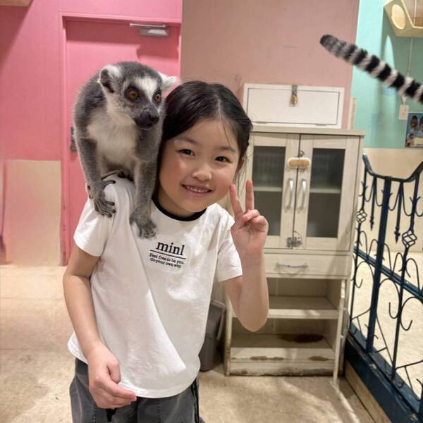 ワオキツネザルと触れ合える！？【アニタッチお台場】でいろんな動物と触れ合おう！ 餌やり体験も | HugMug