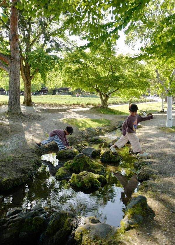「この夏行くべき！ 北海道キャンピングカーの旅」武智志穂の沖縄でのんびり双子育児 Vol.70 | HugMug
