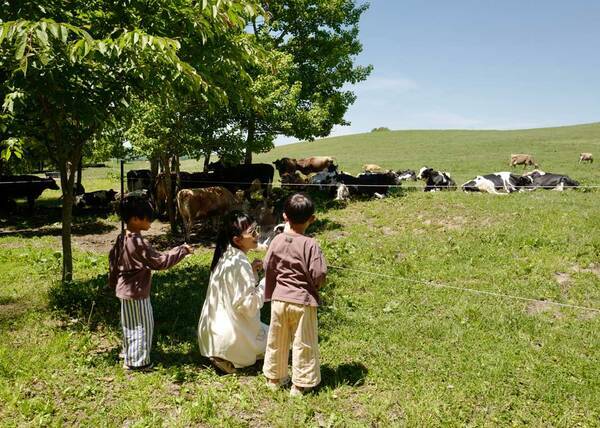 「この夏行くべき！ 北海道キャンピングカーの旅」武智志穂の沖縄でのんびり双子育児 Vol.70 | HugMug