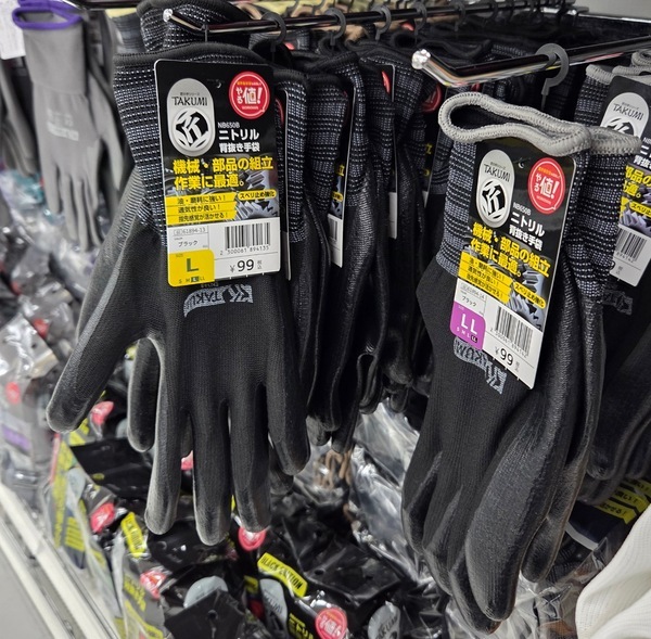 このクオリティで980円！？【ワークマン】マリンシューズがコスパ最強！ | HugMug