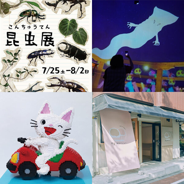 7月に行きたい遊び場＆イベント13選【関東】 | HugMug