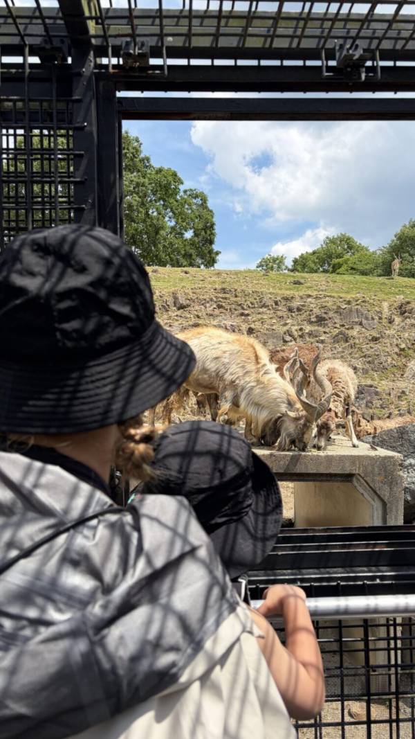 【関西・子連れお出かけ】姫路セントラルパークで動物と遊園地、両方楽しめる欲張りスポット | HugMug