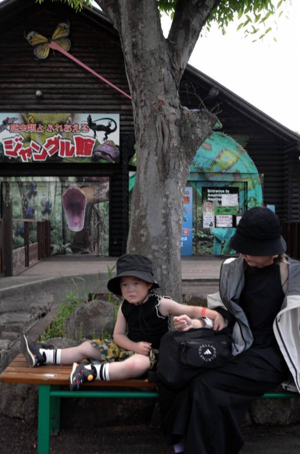 【関西・子連れお出かけ】姫路セントラルパークで動物と遊園地、両方楽しめる欲張りスポット | HugMug