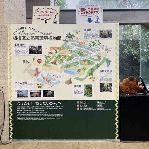 ヘラクレスオオカブトに触れる！ 【板橋】夏休み限定！「熱帯の昆虫展」が子連れにおすすめすぎる！ | HugMug