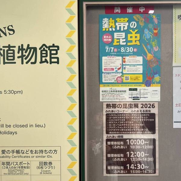 ヘラクレスオオカブトに触れる！ 【板橋】夏休み限定！「熱帯の昆虫展」が子連れにおすすめすぎる！ | HugMug