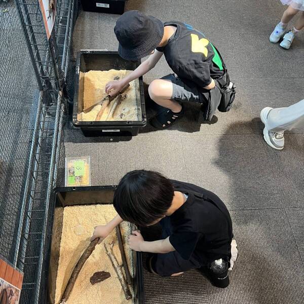 ヘラクレスオオカブトに触れる！ 【板橋】夏休み限定！「熱帯の昆虫展」が子連れにおすすめすぎる！ | HugMug