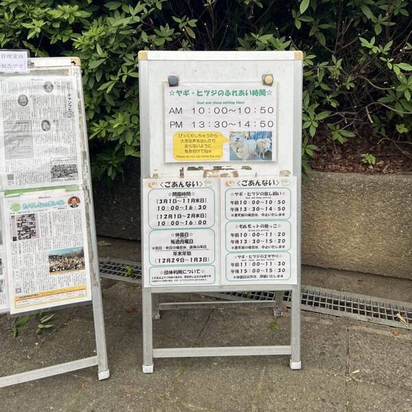 ヘラクレスオオカブトに触れる！ 【板橋】夏休み限定！「熱帯の昆虫展」が子連れにおすすめすぎる！ | HugMug