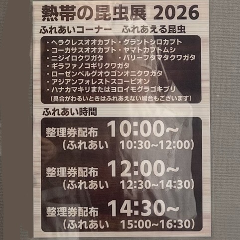 ヘラクレスオオカブトに触れる！ 【板橋】夏休み限定！「熱帯の昆虫展」が子連れにおすすめすぎる！ | HugMug