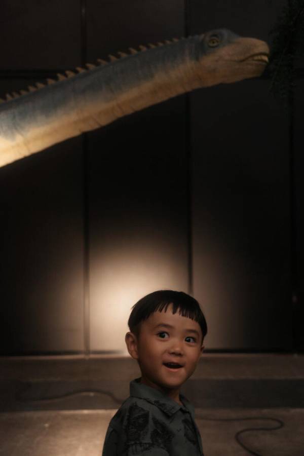 【子連れ徹底レポ】パシフィコ横浜「ヨコハマ恐竜展2026」でベビーカーOK &amp;天井まで届く全身骨格に大興奮！ | HugMug