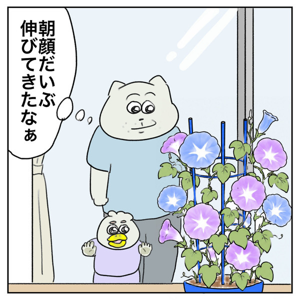 【最終回】「こんなに大きくなって……子の成長を感じた朝顔の観察日記」Aやんのしゃかりき育児珍道中 vol.41 | HugMug