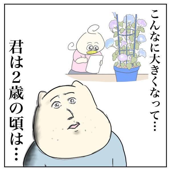 【最終回】「こんなに大きくなって……子の成長を感じた朝顔の観察日記」Aやんのしゃかりき育児珍道中 vol.41 | HugMug