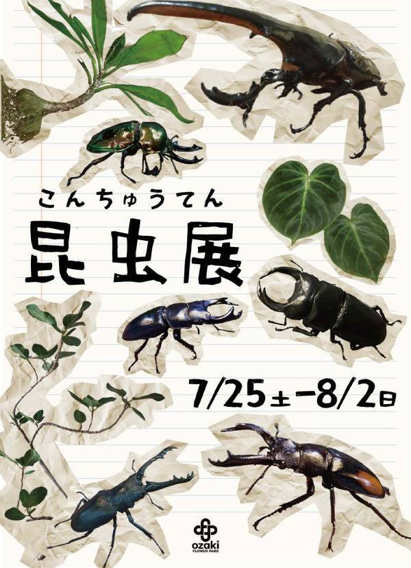 8月に行きたい遊び場＆イベント16選【関東】 | HugMug