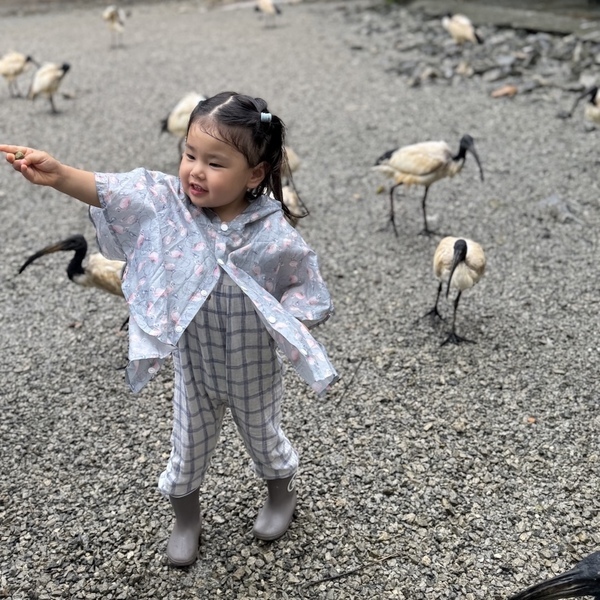 【沖縄旅行】海だけじゃない！子連れで動物と触れ合い尽くす旅 3選 | HugMug