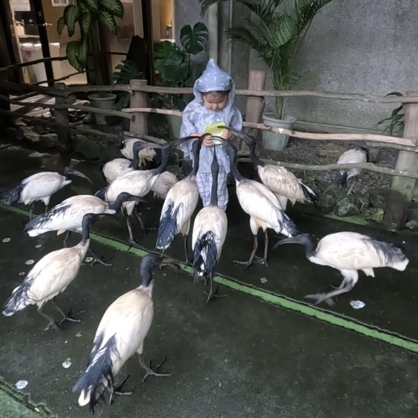 【沖縄旅行】海だけじゃない！子連れで動物と触れ合い尽くす旅 3選 | HugMug