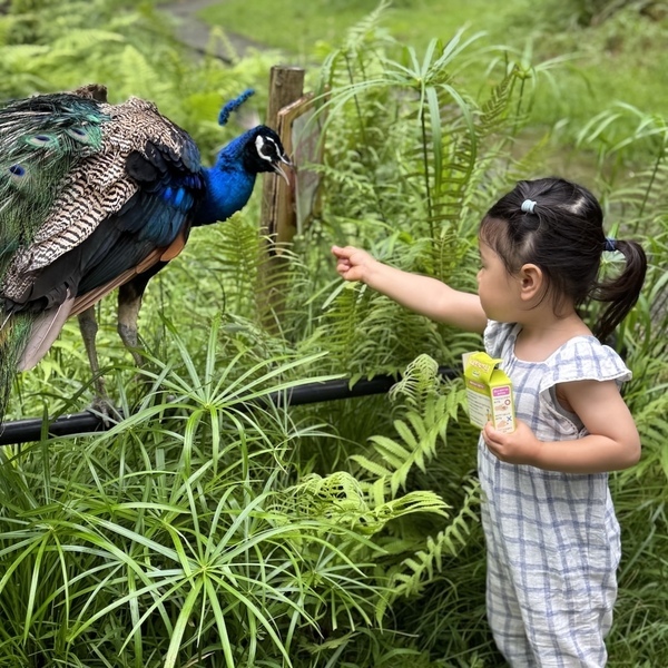 【沖縄旅行】海だけじゃない！子連れで動物と触れ合い尽くす旅 3選 | HugMug