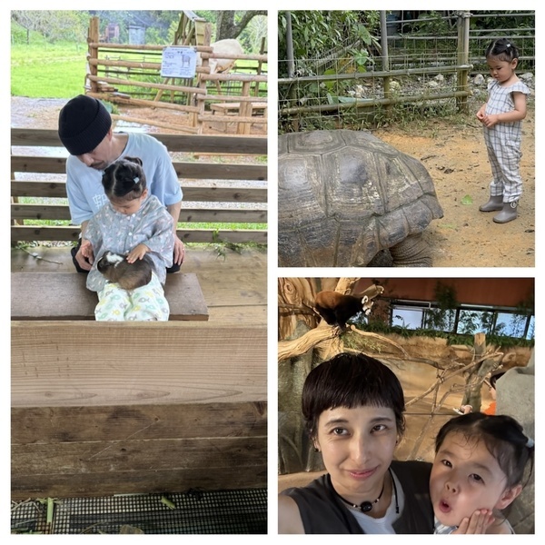 【沖縄旅行】海だけじゃない！子連れで動物と触れ合い尽くす旅 3選 | HugMug