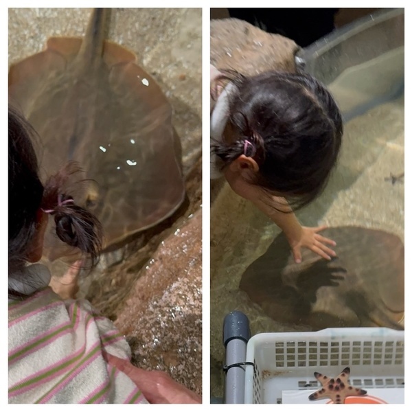 【沖縄旅行】海だけじゃない！子連れで動物と触れ合い尽くす旅 3選 | HugMug
