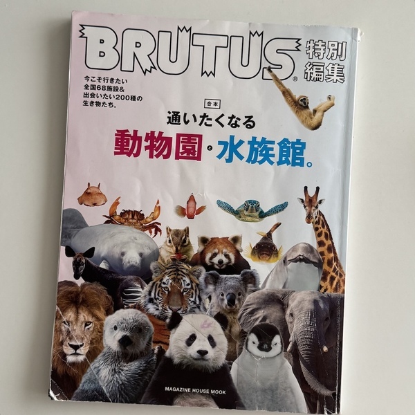 【沖縄旅行】海だけじゃない！子連れで動物と触れ合い尽くす旅 3選 | HugMug