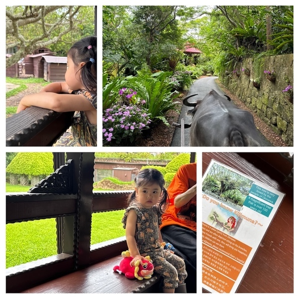 【沖縄旅行】海だけじゃない！子連れで動物と触れ合い尽くす旅 3選 | HugMug
