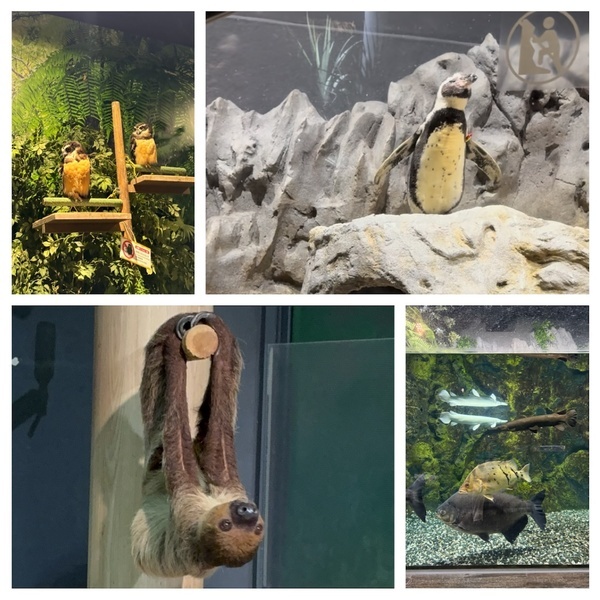 【沖縄旅行】海だけじゃない！子連れで動物と触れ合い尽くす旅 3選 | HugMug