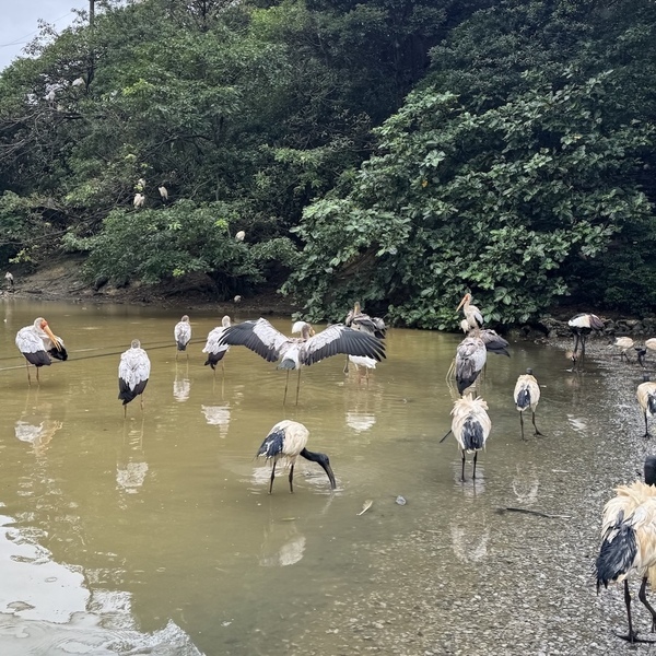 【沖縄旅行】海だけじゃない！子連れで動物と触れ合い尽くす旅 3選 | HugMug
