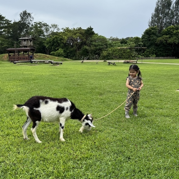 【沖縄旅行】海だけじゃない！子連れで動物と触れ合い尽くす旅 3選 | HugMug