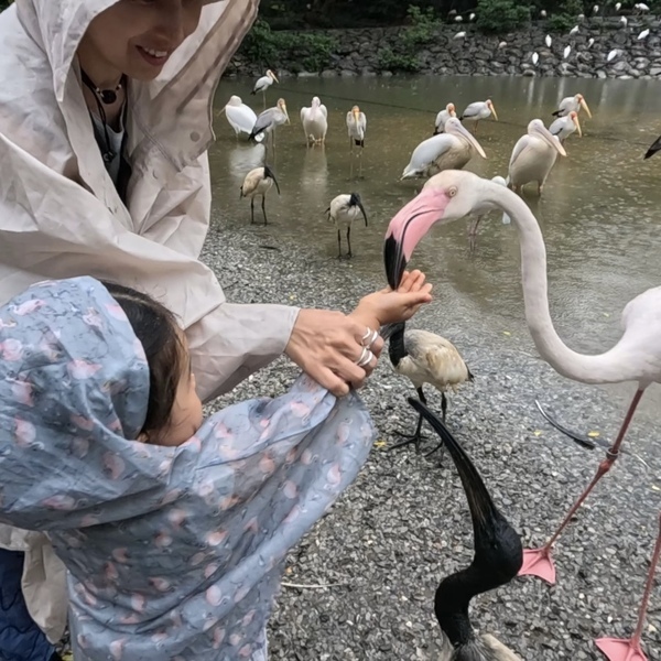 【沖縄旅行】海だけじゃない！子連れで動物と触れ合い尽くす旅 3選 | HugMug