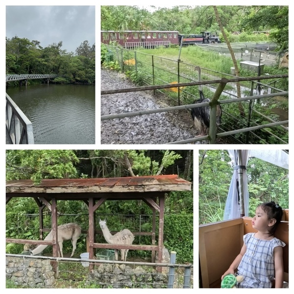 【沖縄旅行】海だけじゃない！子連れで動物と触れ合い尽くす旅 3選 | HugMug