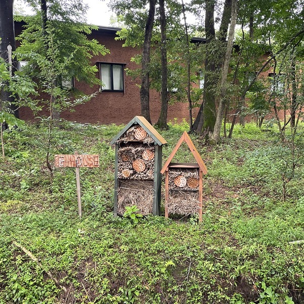 “バターのいとこ”のGOOD NEWSが手がける森！那須「GOOD NEWS NEIGHBORS」で親子で自然遊び | HugMug