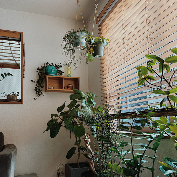【墨田区・曳舟】観葉植物好きに絶対おすすめ！鉢選びまで楽しい植物屋さん「GOOD LIFE STORE」 | HugMug