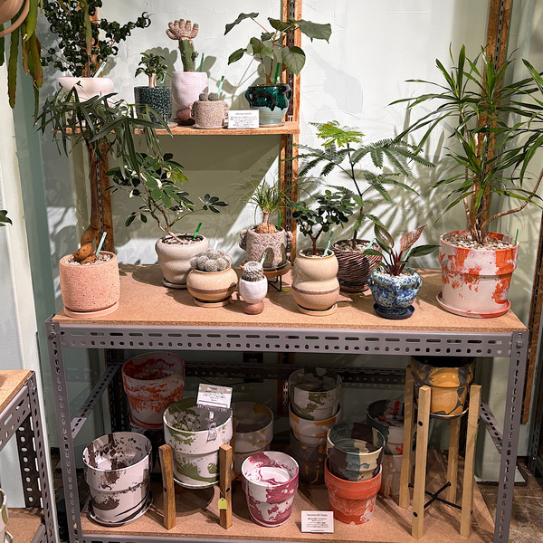 【墨田区・曳舟】観葉植物好きに絶対おすすめ！鉢選びまで楽しい植物屋さん「GOOD LIFE STORE」 | HugMug