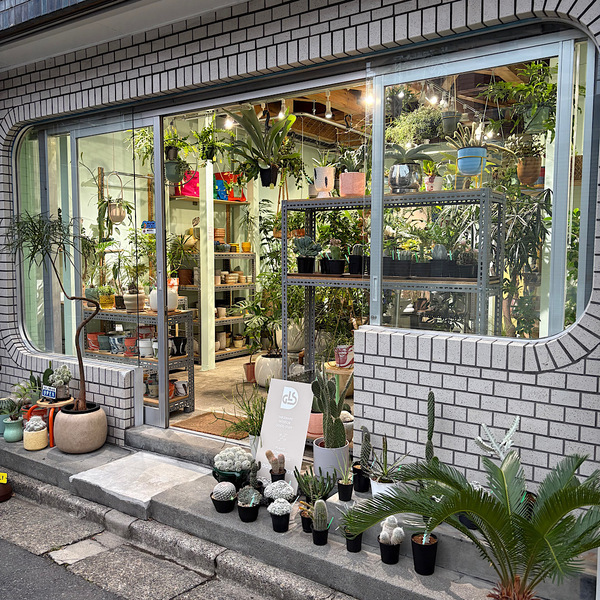 【墨田区・曳舟】観葉植物好きに絶対おすすめ！鉢選びまで楽しい植物屋さん「GOOD LIFE STORE」 | HugMug