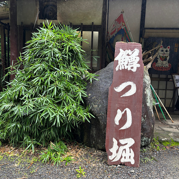 手ぶらで楽しめる！【茨城県・仙郷】家族みんなでニジマス釣りがおすすめ！ | HugMug