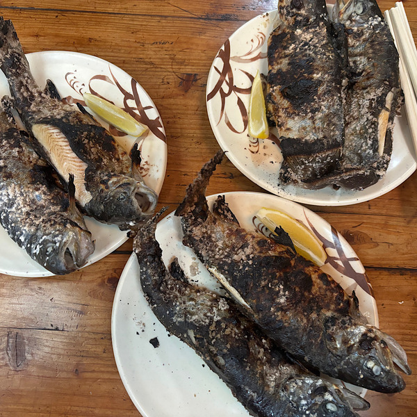 手ぶらで楽しめる！【茨城県・仙郷】家族みんなでニジマス釣りがおすすめ！ | HugMug