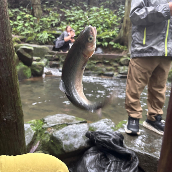 手ぶらで楽しめる！【茨城県・仙郷】家族みんなでニジマス釣りがおすすめ！ | HugMug