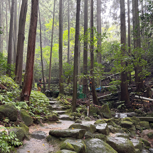 手ぶらで楽しめる！【茨城県・仙郷】家族みんなでニジマス釣りがおすすめ！ | HugMug