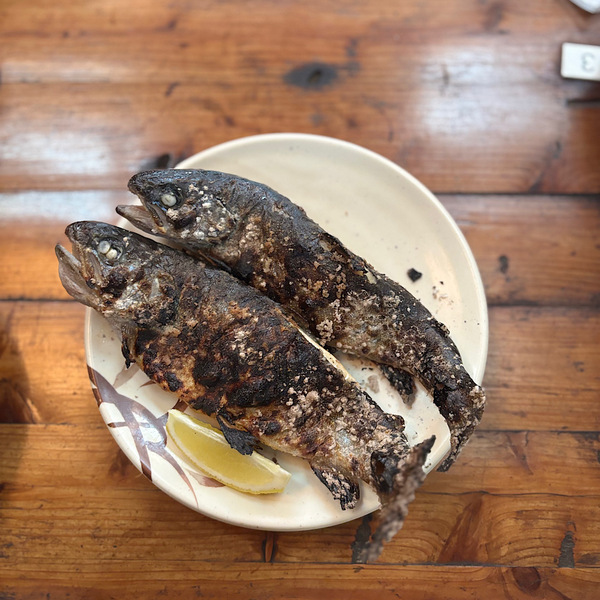 手ぶらで楽しめる！【茨城県・仙郷】家族みんなでニジマス釣りがおすすめ！ | HugMug