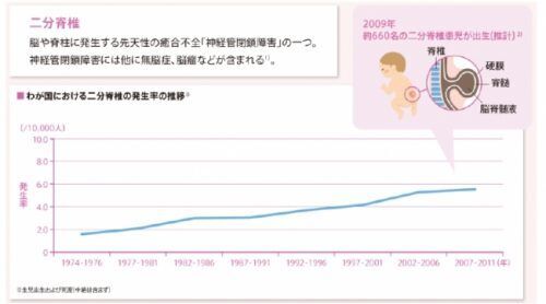 乙葉登壇 45 8 の妊婦が 食生活 を見直した 葉酸不足 が及ぼす赤ちゃんの 脳 や神経 への影響 2016年7月23日 ウーマンエキサイト 1 2
