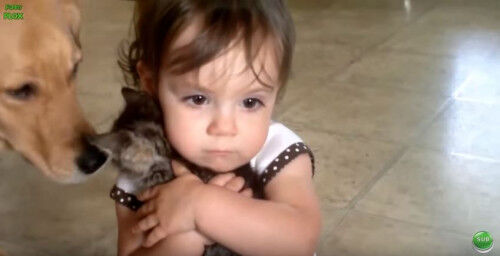 癒し効果バツグン 赤ちゃんと動物のふれあい にキュンキュン 16年10月1日 ウーマンエキサイト