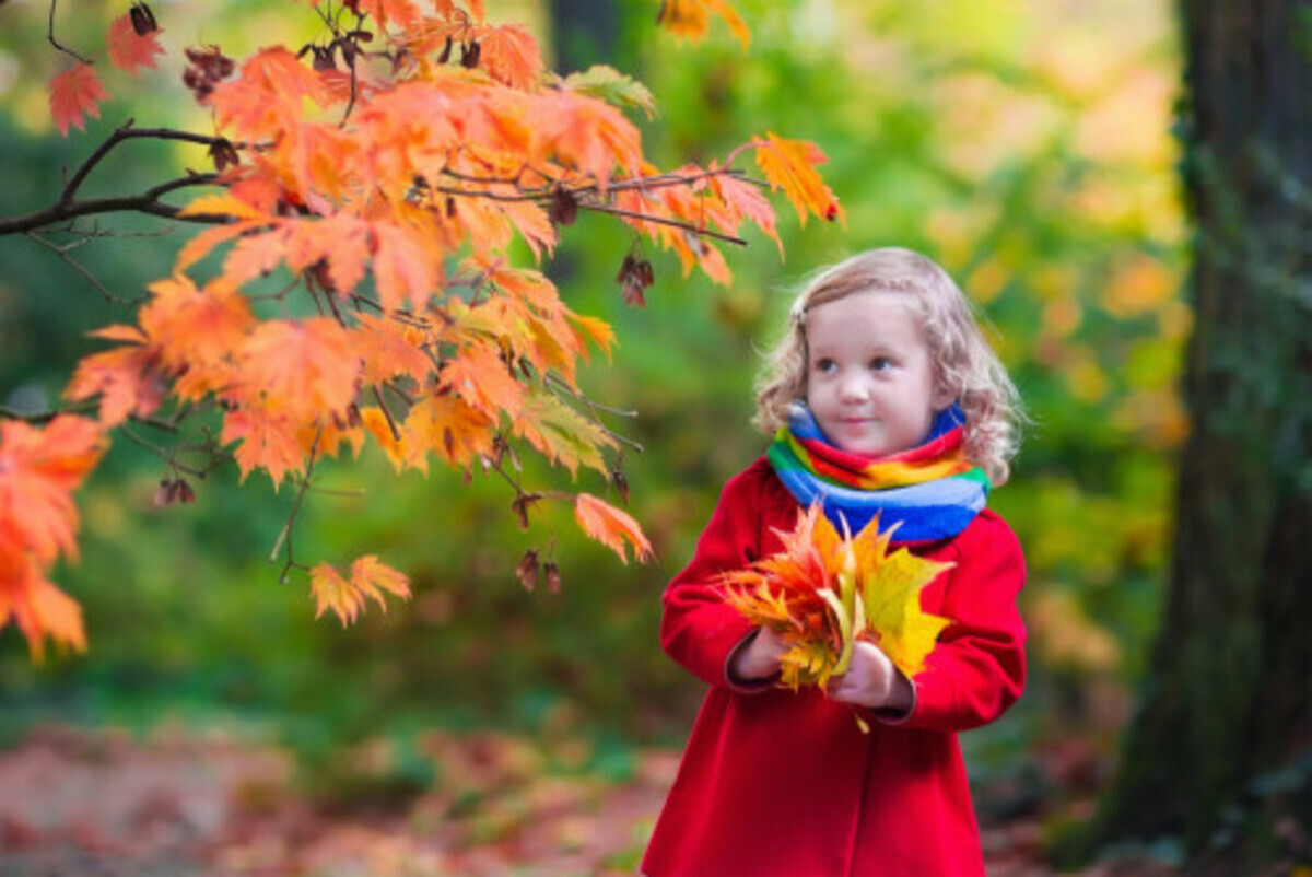 紅葉シーズンに注意 乳幼児が かぶれを起こしやすい植物 って 16年10月28日 ウーマンエキサイト 1 2
