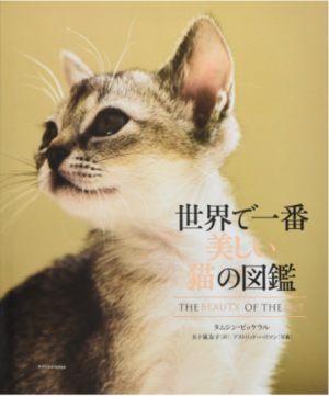 2 22は 猫の日 面白い 可愛い 猫がテーマの本10選 18年2月21日 ウーマンエキサイト 2 4