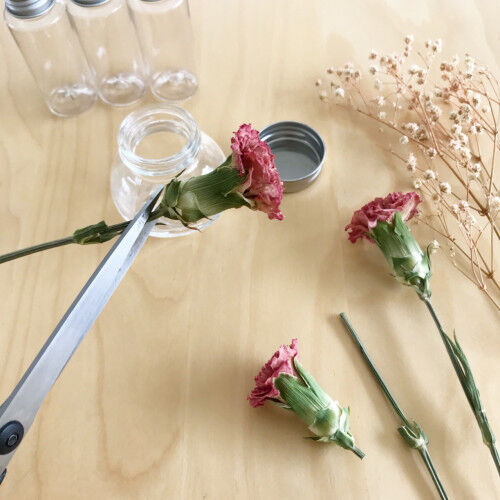 簡単手作り母の日ギフト カーネーション のハーバリウム 18年5月12日 ウーマンエキサイト 2 2