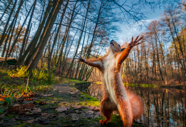 ワォな生き物大募集 身近な自然でみつけた感動の写真とエピソードを募集 年11月29日 ウーマンエキサイト