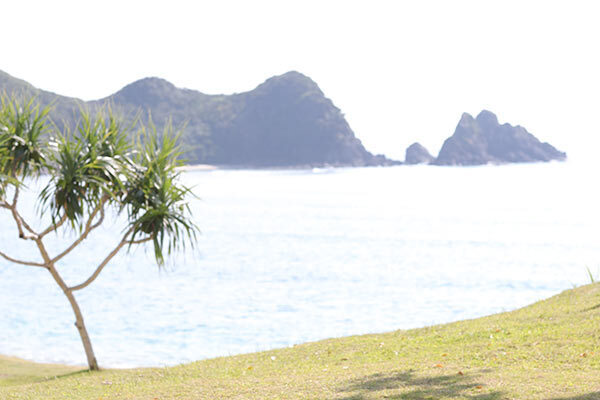 キスマイ二階堂、感激「ウミガメの写真が撮れた！」