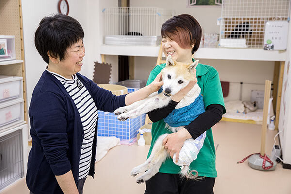ペットに安心を…飼い主が書く「終活」ノートの作り方