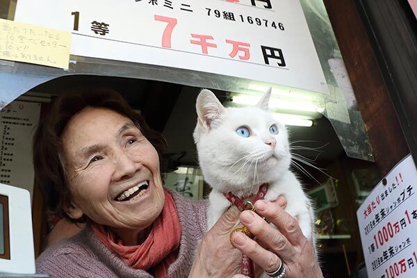 グリーンジャンボ10匹合わせて90億呼ぶリアル億招き猫たち