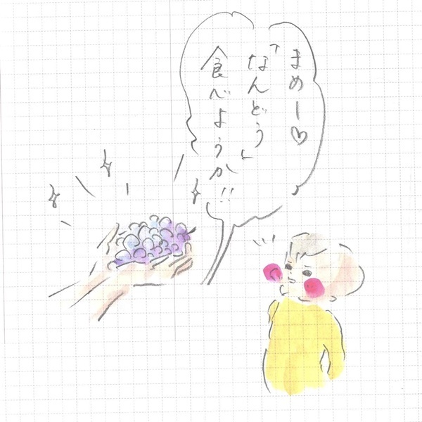 謎ワード連発！衝撃のなんどう事件とは？ 『まめ日和』第59回