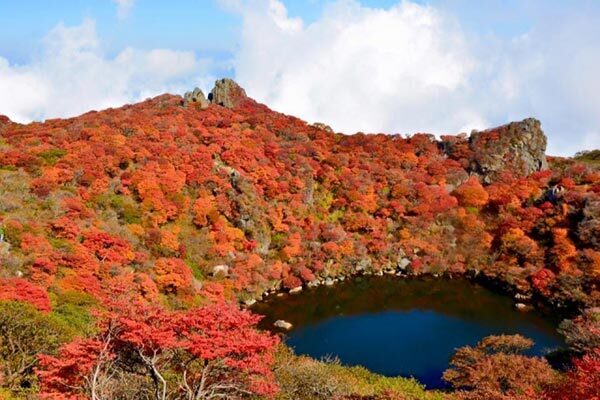47都道府県で女子に愛されてる地元のメイブツ【大分県編】