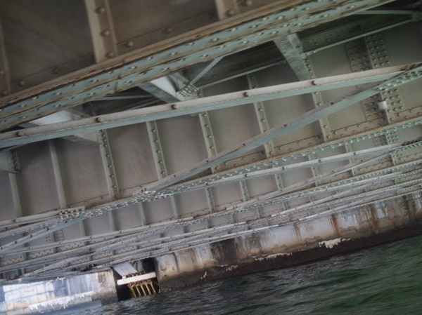 話芸を楽しむ！落語家さんが案内する観光クルーズに乗ってみた